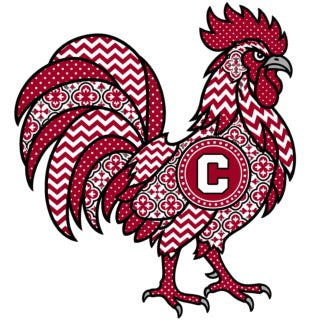 Carolina Gamecocks Patterned Gamecock W06
