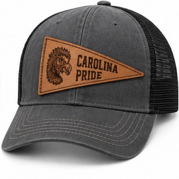 Carolina Gamecocks Gray / Carolina Pride NH08