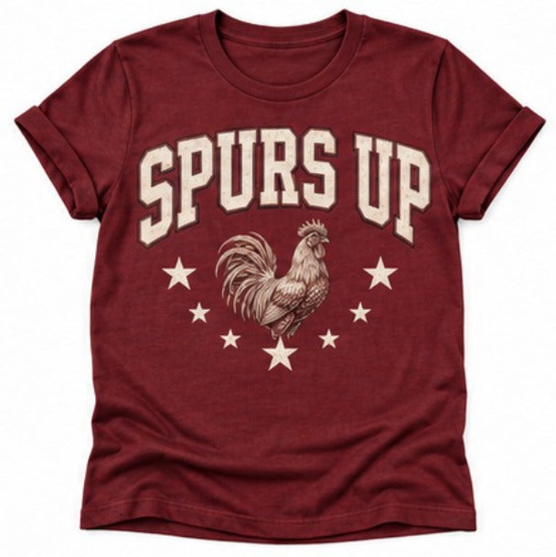 Carolina Gamecocks Spurs Up Stars NT02