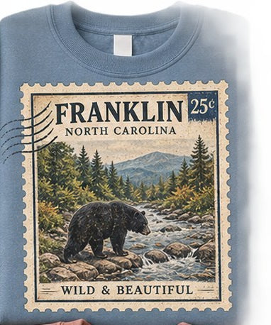 KFO SYT-Franklin — Item #2339 — Franklin North Carolina Vintage Stamp Sweatshirts - look 3