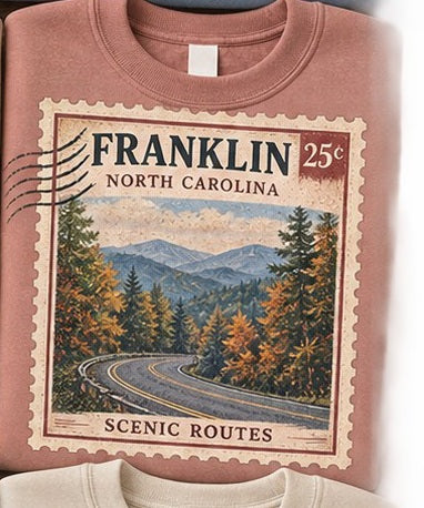 KFO SYT-Franklin — Item #2342 — Franklin North Carolina Vintage Stamp Sweatshirts - look 6