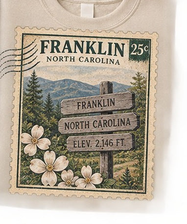 KFO SYT-Franklin — Item #2345 — Franklin North Carolina Vintage Stamp Sweatshirts - look 9