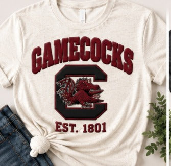 Carolina Gamecocks Varsity Gamecocks GP01