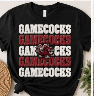 Carolina Gamecocks Stacked Gamecocks GP04